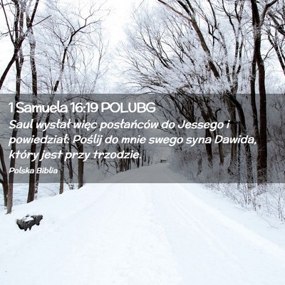 Picture 02 - 1 Samuela 16:19 POLUBG - Saul wysłał więc posłańców do Jessego i - Bible Verse Picture