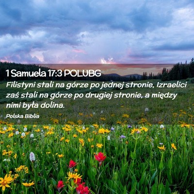 Picture 02 - 1 Samuela 17:3 POLUBG - Filistyni stali na górze po jednej stronie, - Bible Verse Picture