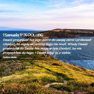 Picture 02 - 1 Samuela 17:39 POLUBG - Dawid przypasał też jego miecz do swojej zbroi - Bible Verse Picture