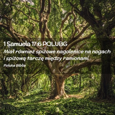 Picture 02 - 1 Samuela 17:6 POLUBG - Miał również spiżowe nagolenice na nogach i - Bible Verse Picture