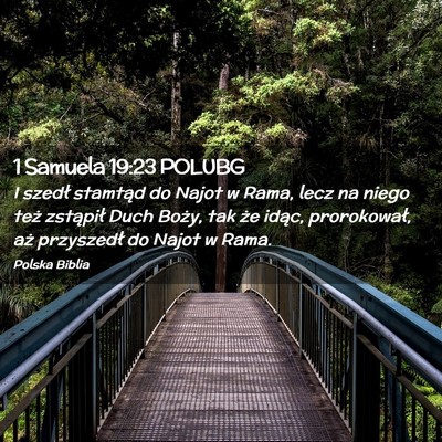 Picture 02 - 1 Samuela 19:23 POLUBG - I szedł stamtąd do Najot w Rama, lecz na niego - Bible Verse Picture