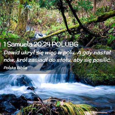 Picture 02 - 1 Samuela 20:24 POLUBG - Dawid ukrył się więc w polu. A gdy nastał - Bible Verse Picture
