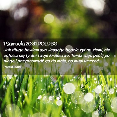Picture 02 - 1 Samuela 20:31 POLUBG - Jak długo bowiem syn Jessego będzie żył na - Bible Verse Picture