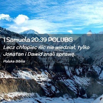 Picture 02 - 1 Samuela 20:39 POLUBG - Lecz chłopiec nic nie wiedział, tylko Jonatan i - Bible Verse Picture