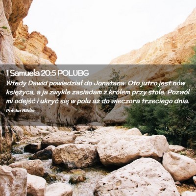 Picture 02 - 1 Samuela 20:5 POLUBG - Wtedy Dawid powiedział do Jonatana: Oto jutro - Bible Verse Picture