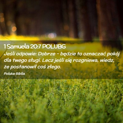 Picture 02 - 1 Samuela 20:7 POLUBG - Jeśli odpowie: Dobrze – będzie to oznaczać - Bible Verse Picture
