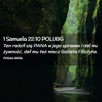 Picture 02 - 1 Samuela 22:10 POLUBG - Ten radził się PANA w jego sprawie i dał mu - Bible Verse Picture
