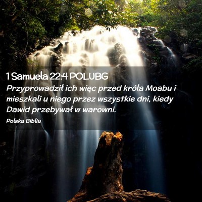 Picture 02 - 1 Samuela 22:4 POLUBG - Przyprowadził ich więc przed króla Moabu i - Bible Verse Picture
