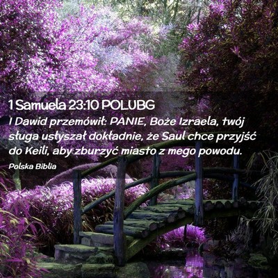 Picture 02 - 1 Samuela 23:10 POLUBG - I Dawid przemówił: PANIE, Boże Izraela, twój - Bible Verse Picture