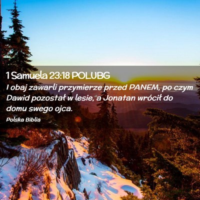 Picture 02 - 1 Samuela 23:18 POLUBG - I obaj zawarli przymierze przed PANEM, po czym - Bible Verse Picture