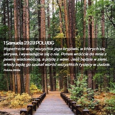 Picture 02 - 1 Samuela 23:23 POLUBG - Wypatrzcie więc wszystkie jego kryjówki, w - Bible Verse Picture