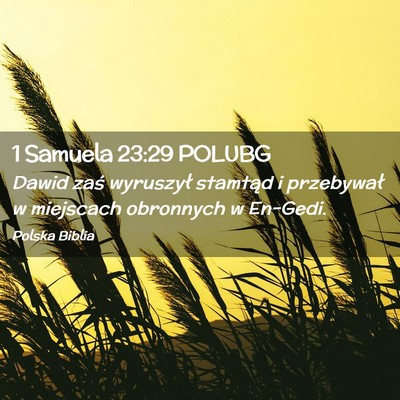 Picture 02 - 1 Samuela 23:29 POLUBG - Dawid zaś wyruszył stamtąd i przebywał w - Bible Verse Picture