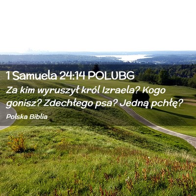Picture 02 - 1 Samuela 24:14 POLUBG - Za kim wyruszył król Izraela? Kogo gonisz? - Bible Verse Picture