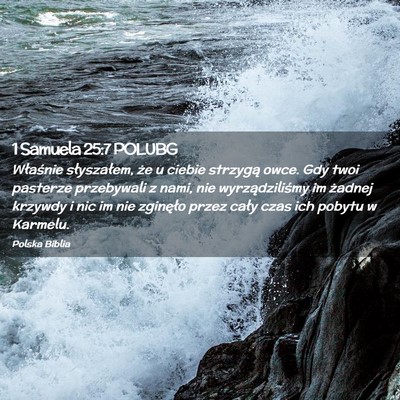 Picture 02 - 1 Samuela 25:7 POLUBG - Właśnie słyszałem, że u ciebie strzygą - Bible Verse Picture
