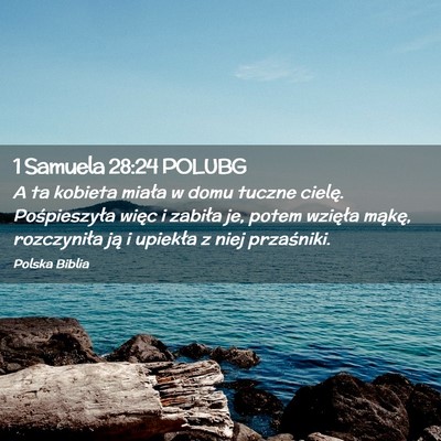Picture 02 - 1 Samuela 28:24 POLUBG - A ta kobieta miała w domu tuczne cielę. - Bible Verse Picture