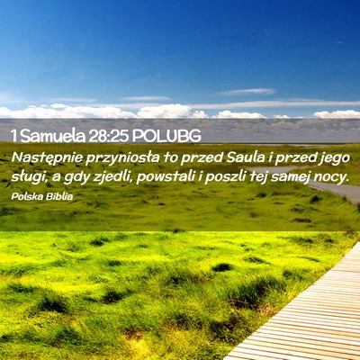 Picture 02 - 1 Samuela 28:25 POLUBG - Następnie przyniosła to przed Saula i przed - Bible Verse Picture