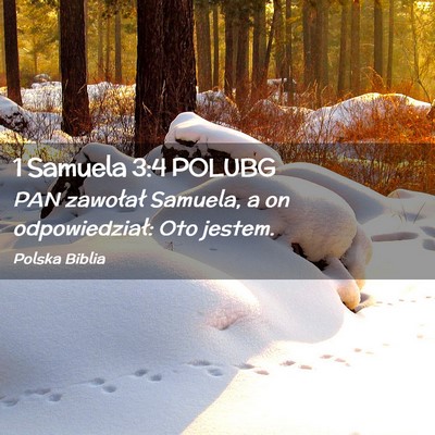 Picture 02 - 1 Samuela 3:4 POLUBG - PAN zawołał Samuela, a on odpowiedział: Oto - Bible Verse Picture