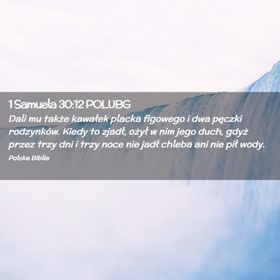 Picture 02 - 1 Samuela 30:12 POLUBG - Dali mu także kawałek placka figowego i dwa - Bible Verse Picture