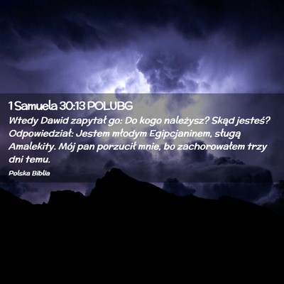 Picture 02 - 1 Samuela 30:13 POLUBG - Wtedy Dawid zapytał go: Do kogo należysz? Skąd - Bible Verse Picture