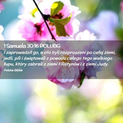 Picture 02 - 1 Samuela 30:16 POLUBG - I zaprowadził go, a oto byli rozproszeni po - Bible Verse Picture