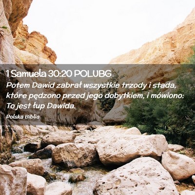 Picture 02 - 1 Samuela 30:20 POLUBG - Potem Dawid zabrał wszystkie trzody i stada, - Bible Verse Picture