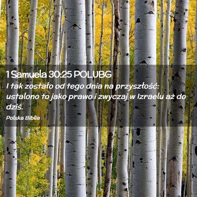 Picture 02 - 1 Samuela 30:25 POLUBG - I tak zostało od tego dnia na przyszłość: - Bible Verse Picture