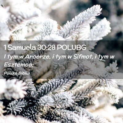 Picture 02 - 1 Samuela 30:28 POLUBG - I tym w Aroerze, i tym w Sifmot, i tym w - Bible Verse Picture