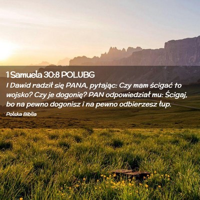 Picture 02 - 1 Samuela 30:8 POLUBG - I Dawid radził się PANA, pytając: Czy mam - Bible Verse Picture