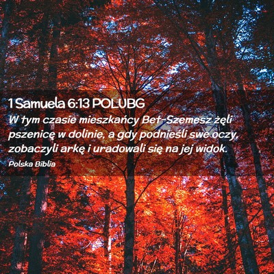 Picture 02 - 1 Samuela 6:13 POLUBG - W tym czasie mieszkańcy Bet-Szemesz żęli - Bible Verse Picture