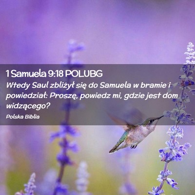 Picture 02 - 1 Samuela 9:18 POLUBG - Wtedy Saul zbliżył się do Samuela w bramie i - Bible Verse Picture