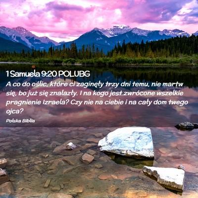Picture 02 - 1 Samuela 9:20 POLUBG - A co do oślic, które ci zaginęły trzy dni - Bible Verse Picture