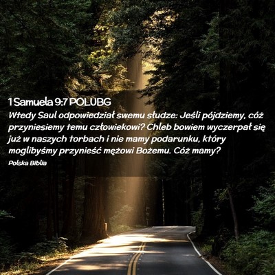 Picture 02 - 1 Samuela 9:7 POLUBG - Wtedy Saul odpowiedział swemu słudze: Jeśli - Bible Verse Picture