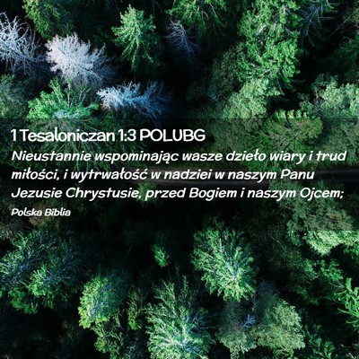 Picture 02 - 1 Tesaloniczan 1:3 POLUBG - Nieustannie wspominając wasze dzieło wiary i - Bible Verse Picture