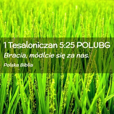 Picture 02 - 1 Tesaloniczan 5:25 POLUBG - Bracia, módlcie się za - Bible Verse Picture