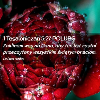 Picture 02 - 1 Tesaloniczan 5:27 POLUBG - Zaklinam was na Pana, aby ten list został - Bible Verse Picture