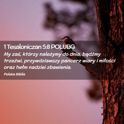 Picture 02 - 1 Tesaloniczan 5:8 POLUBG - My zaś, którzy należymy do dnia, bądźmy - Bible Verse Picture