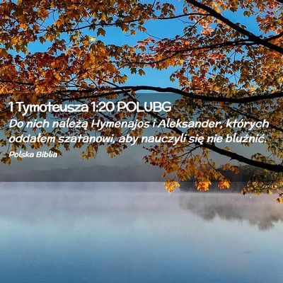 Picture 02 - 1 Tymoteusza 1:20 POLUBG - Do nich należą Hymenajos i Aleksander, których - Bible Verse Picture