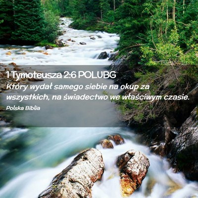 Picture 02 - 1 Tymoteusza 2:6 POLUBG - Który wydał samego siebie na okup za - Bible Verse Picture