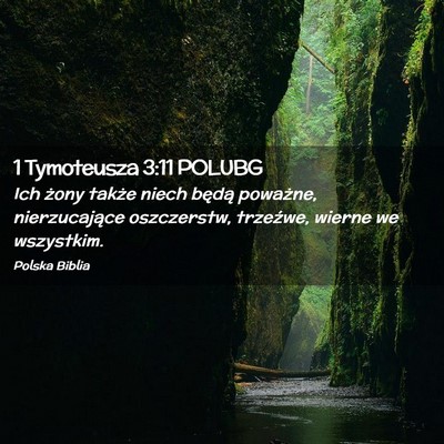 Picture 02 - 1 Tymoteusza 3:11 POLUBG - Ich żony także niech będą poważne, - Bible Verse Picture