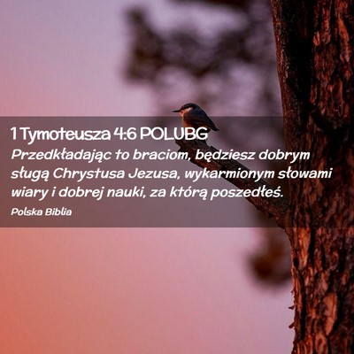 Picture 02 - 1 Tymoteusza 4:6 POLUBG - Przedkładając to braciom, będziesz dobrym - Bible Verse Picture