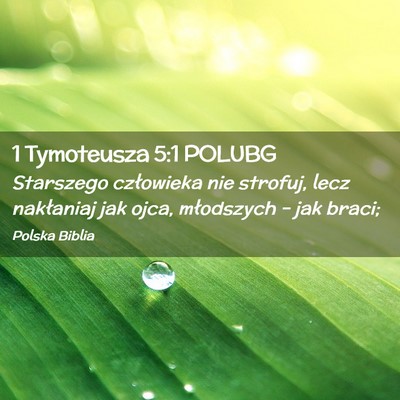 Picture 02 - 1 Tymoteusza 5:1 POLUBG - Starszego człowieka nie strofuj, lecz nakłaniaj - Bible Verse Picture