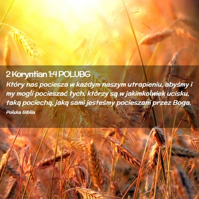 Picture 02 - 2 Koryntian 1:4 POLUBG - Który nas pociesza w każdym naszym utrapieniu, - Bible Verse Picture