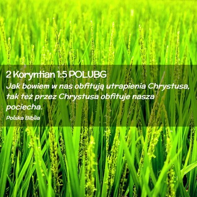 Picture 02 - 2 Koryntian 1:5 POLUBG - Jak bowiem w nas obfitują utrapienia Chrystusa, - Bible Verse Picture