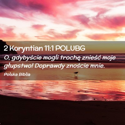 Picture 02 - 2 Koryntian 11:1 POLUBG - O, gdybyście mogli trochę znieść moje - Bible Verse Picture