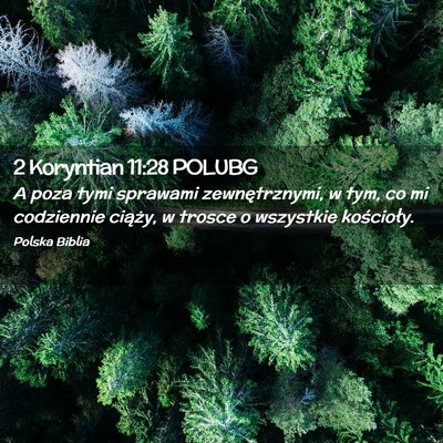 Picture 02 - 2 Koryntian 11:28 POLUBG - A poza tymi sprawami zewnętrznymi, w tym, co mi - Bible Verse Picture