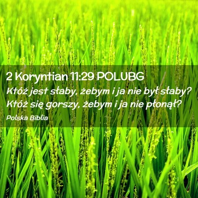 Picture 02 - 2 Koryntian 11:29 POLUBG - Któż jest słaby, żebym i ja nie był słaby? - Bible Verse Picture
