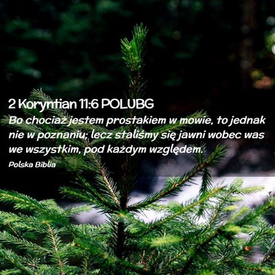 Picture 02 - 2 Koryntian 11:6 POLUBG - Bo chociaż jestem prostakiem w mowie, to jednak - Bible Verse Picture