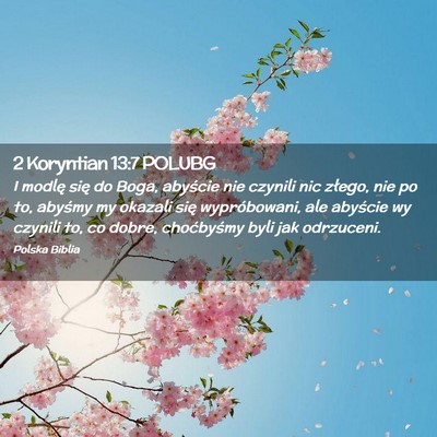 Picture 02 - 2 Koryntian 13:7 POLUBG - I modlę się do Boga, abyście nie czynili nic - Bible Verse Picture