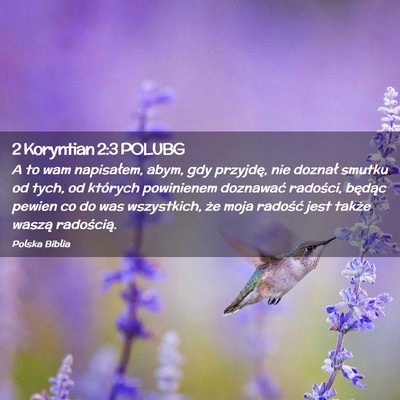 Picture 02 - 2 Koryntian 2:3 POLUBG - A to wam napisałem, abym, gdy przyjdę, nie - Bible Verse Picture