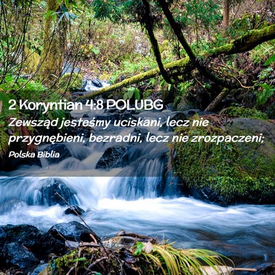 Picture 02 - 2 Koryntian 4:8 POLUBG - Zewsząd jesteśmy uciskani, lecz nie - Bible Verse Picture